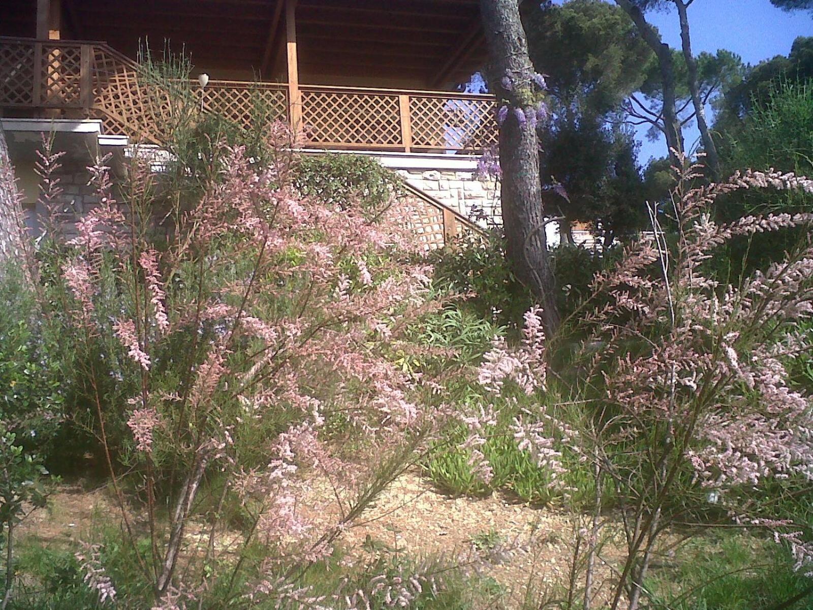 La Casa Di Ulisse B&B Quercianella Exterior foto