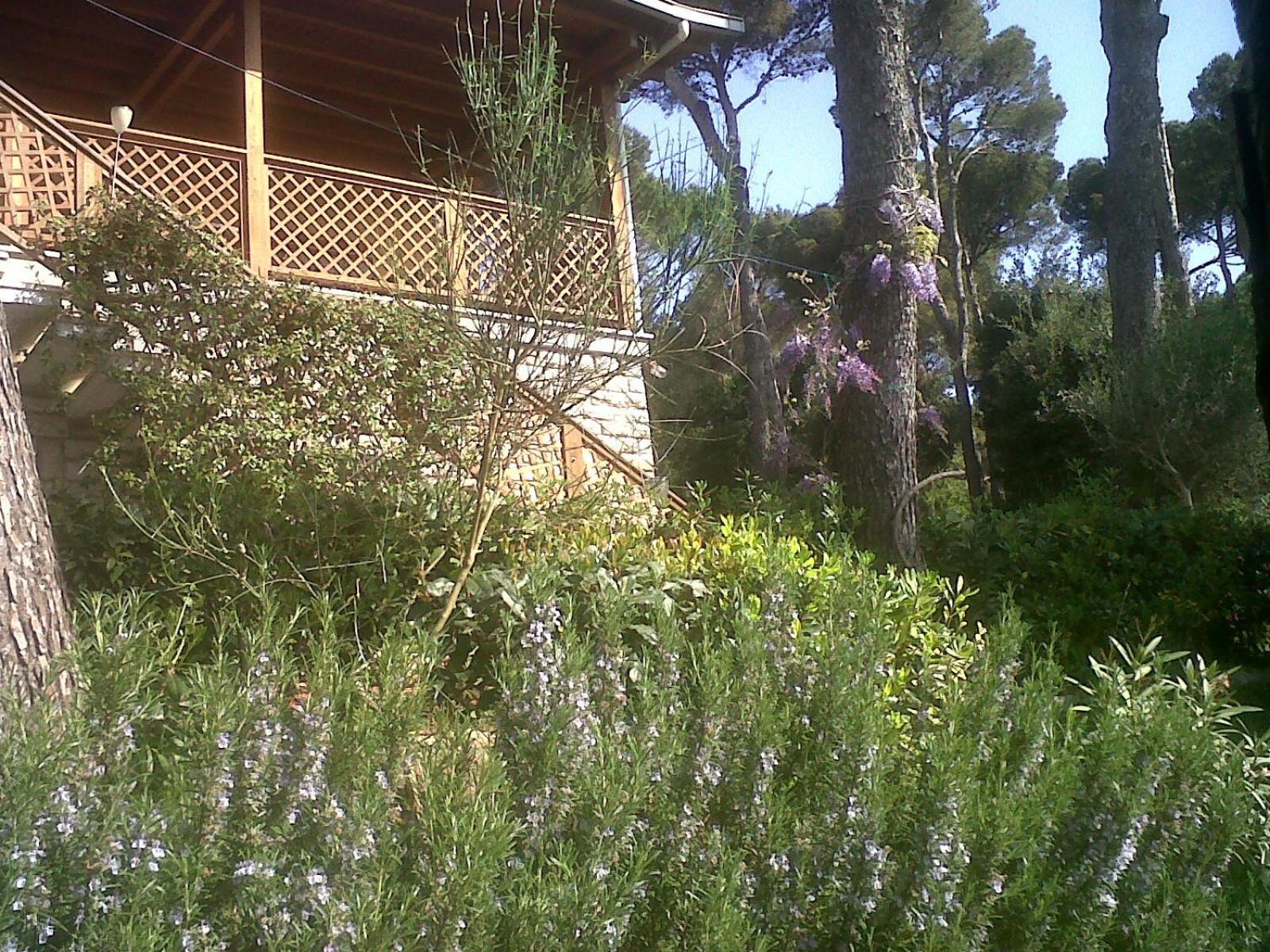 La Casa Di Ulisse B&B Quercianella Exterior foto