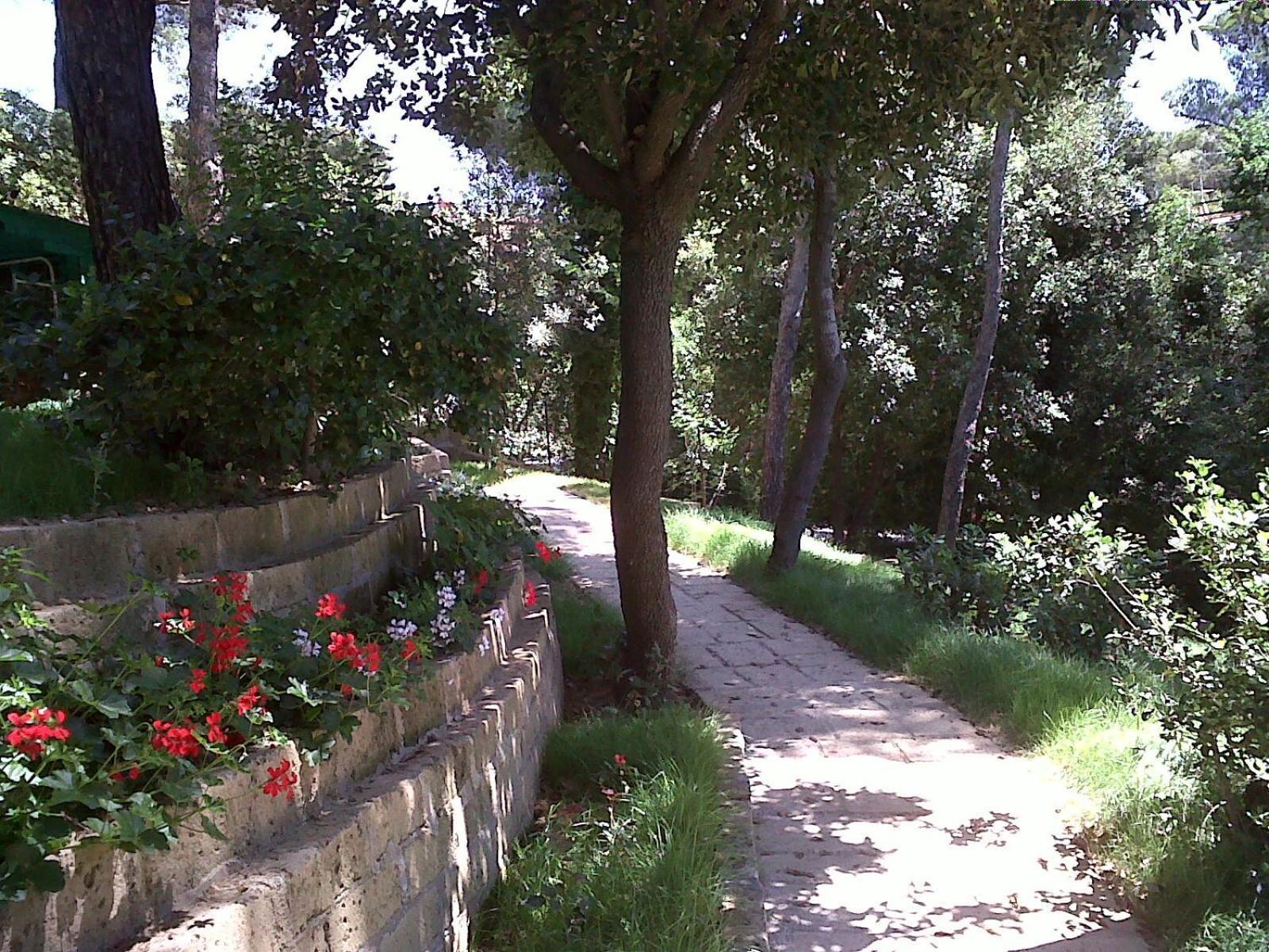 La Casa Di Ulisse B&B Quercianella Exterior foto